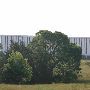 Terra Industries (Old Building)