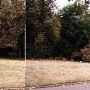 Neighborhood