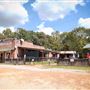 T'Beaux's Crawfish and Catering