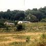 Hog Farm