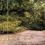 Wooded House