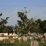 Cemetery