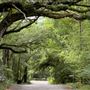 Byrd Drive