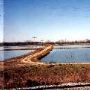 Catfish Farm, Railroad Tracks