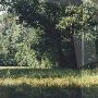 Country Road
