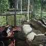 Glenfield Sunroom