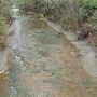 Creek