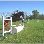 Seward Farms Maze