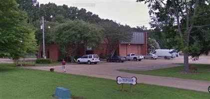 webster animal shelter